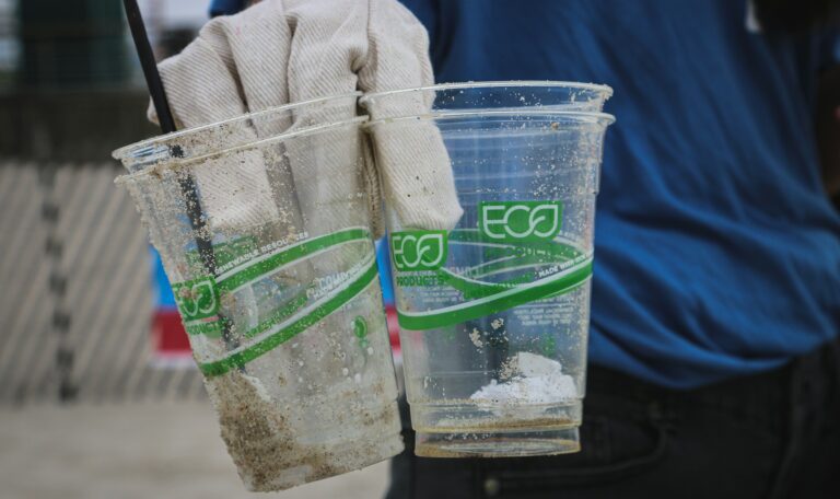 greenwashing, plastikowe kubki